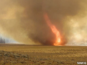 troncos flameantes