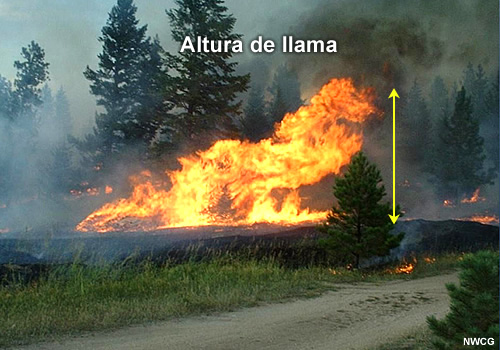 Altura de llama