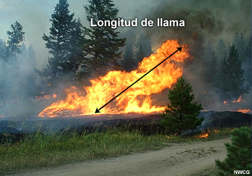 Longitud de llama