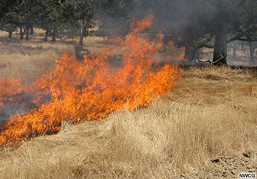Ejemplo de fuego de cabeza