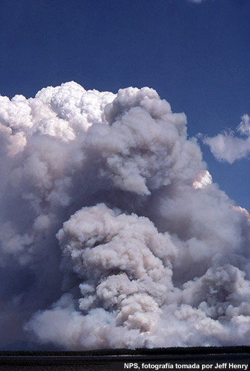 Enorme columna de humo sobre los incendios en Yellowstone en condiciones inestables