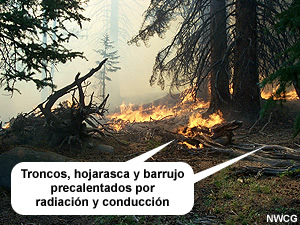 Calentamiento por conducción y radiación.