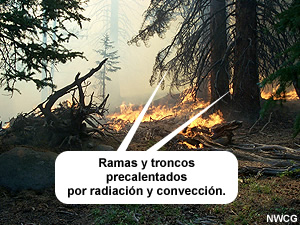 Calentamiento por convección y radiación