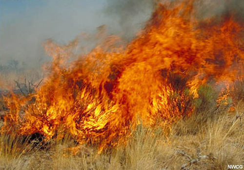 fuego de avance rápido