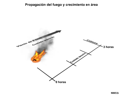 Propagación del fuego y crecimiento en área