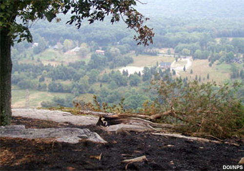 Vista desde la zona quemada