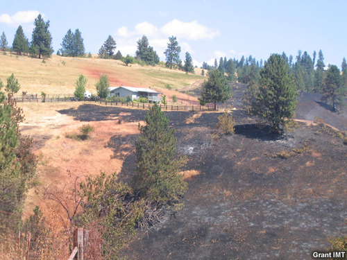 Zona quemada por un incendio forestal