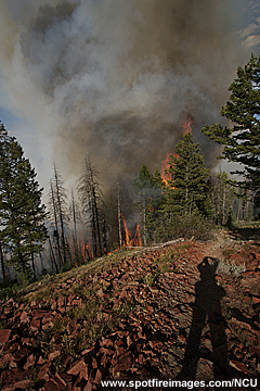 Vigilancia de incendios