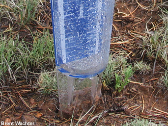 Rain gauge.