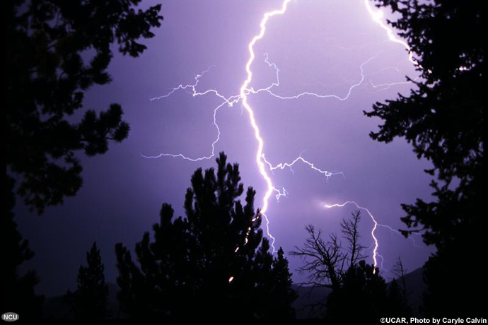 Lightning with tree silhouettes