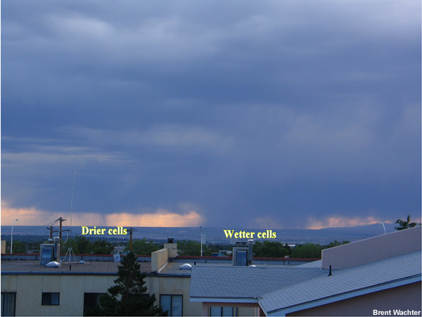 A storm with both drier and wetter cells