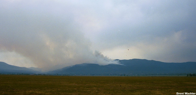 Fire activity has diminished significantly.
