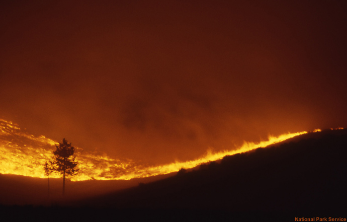 Grass fire.