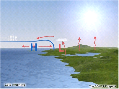 A conceptual model shoing land/sea circulations in late morning.