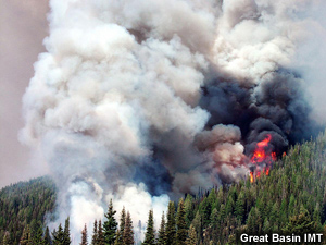 photo of highly active fire and smoke plume