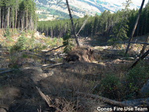 Photo of fire environment