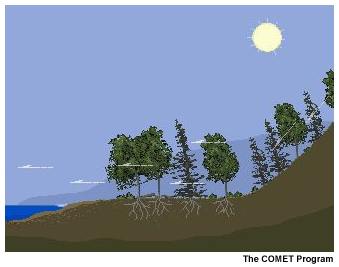 graphic showing offshore flow setup