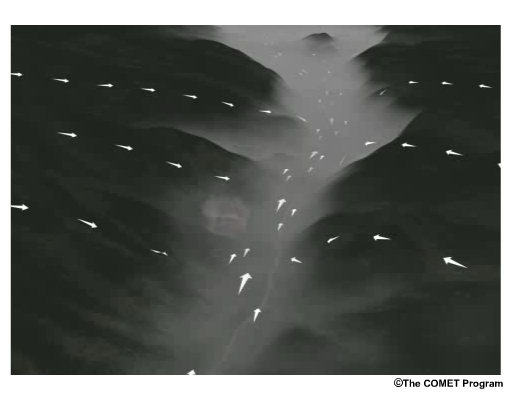 Animation of wind and fire activity from sunrise to mid-morning