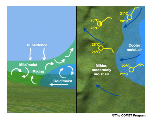 In this graphic, the left-hand side is a cross-section through the area, and the right-hand side is a plan view. The cooler air mass advecting in and replacing the milder and relatively drier air. As it advects in, the cooling of the surface and the upslope flow also force the air up the terrain feature. And finally, the large-scale subsidence aloft is conducive to the formation of fog and stratus in the region. The inset map shows examples for the midlatitudes and for the humid tropics.