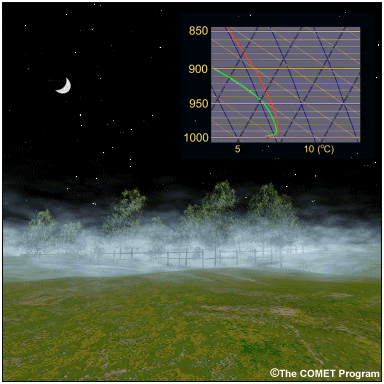 Radiative cooling progresses to the point that the air just above the ground becomes supersaturated and fog droplets form by condensation.