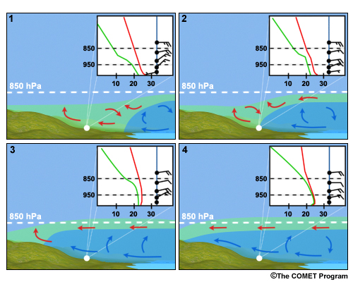 Evolution of a sounding for advection fog. The graphic is divided in four panels. We see that in the change of the temperature profile in the skew-T diagram between the first panel and the second panel. As that cold air continues to move into the area (3), the vertical structure of the atmosphere continues to modify; and we see the inversion set up in the boundary layer. There are still relatively strong winds in the boundary layer. In the last panel (4), the winds have decreased, and there's a saturated region with an inversion that is trapping that moisture in the boundary layer.