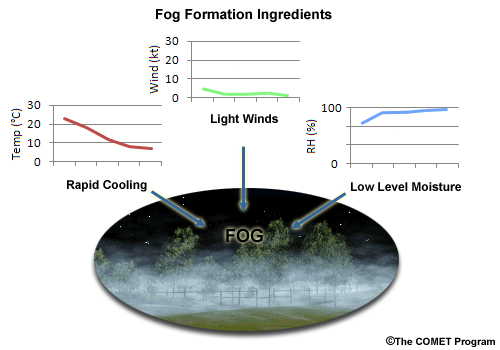 Fog formation ingredients: rapid cooling, light winds, low level moisture.