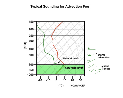 Typical sounding for advection fog