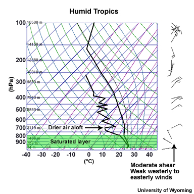 Typical sounding for advection fog