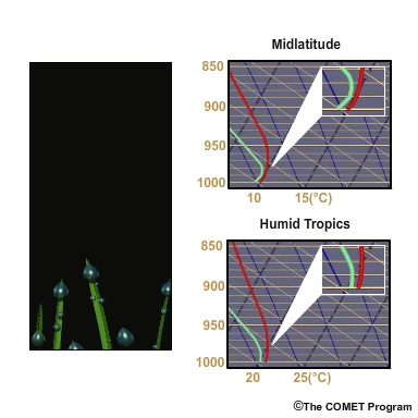 As the surface-based layer stabilizes, weak turbulent diffusion ceases and droplets begin to form in the air above the surface.