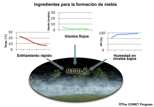 Ingredientes para la formación de la niebla: enfriamiento rápido, vientos calmos o flojos, humedad en niveles bajos.