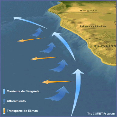 Animación conceptual del afloramiento producido por la corriente de Benguela y el transporte de Ekman junto a la costa sudafricana