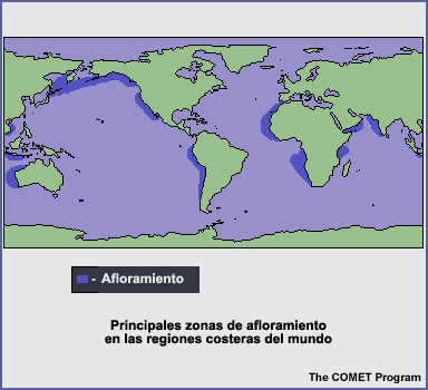 Principales zonas de afloramiento en las regiones costeras del mundo