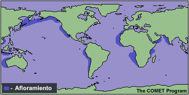 Principales zonas de afloramiento en las regiones costeras del mundo