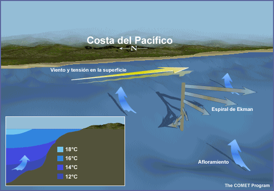 Animación conceptual de la espiral de Ekman junto a la costa del Pacífico