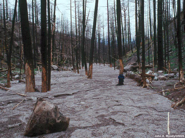 Flash flood damage in burn area with mud and rock layered over the ground.