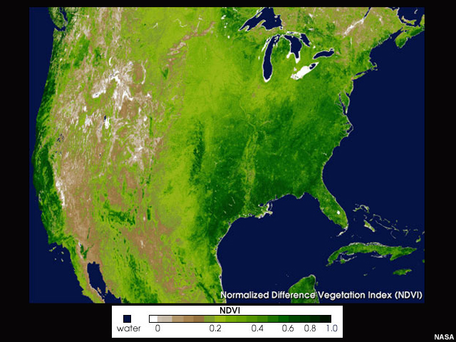 Example Normalized Difference Vegetation Index (NDVI) over the United States.