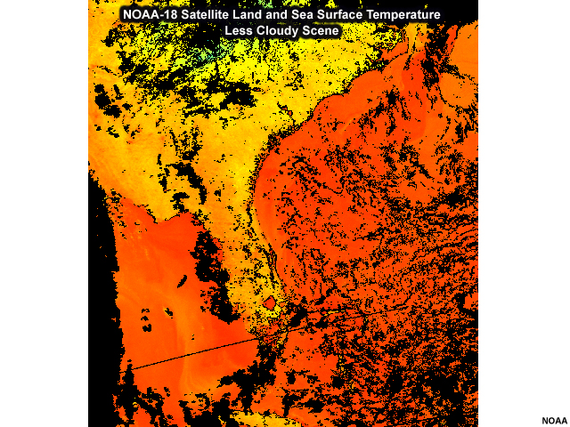 Southeast U.S. view of sea surface temperatures from NOAA-18 AVHRR.  The scene is only partially contaminated with cloud cover, leaving a large portion of the image showing sea surface temperatures.