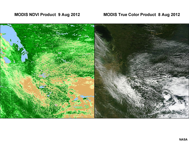 MODIS NDVI and True Color products for 8 Aug 2012