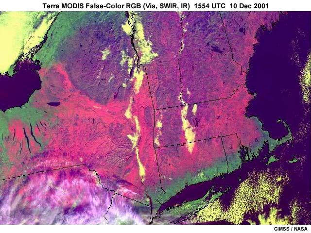 A MODIS false-color RGB image (Vis, SWIR, IR) showing snow cover (magenta), snow cover in forest (purple), fog (yellow), bare ground (green), and open water surfaces.