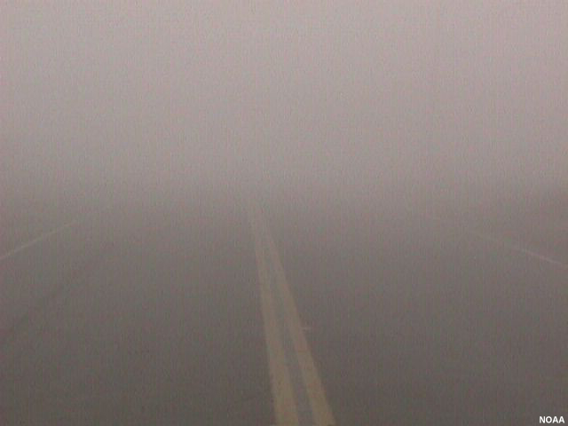 Camino de dos vías en la niebla.