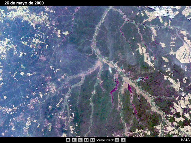 Dos imágenes del MISR de la NASA se alternan para mostrar los cambios en el uso del suelo ocurridos en la región amazónica del Mato Grosso entre 2000 y 2004.