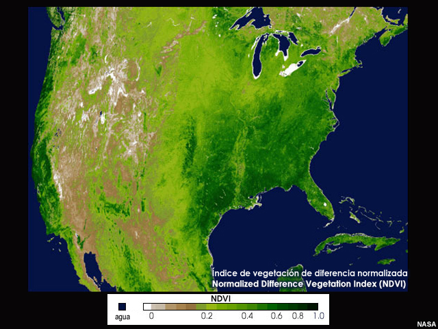 Ejemplo de índice de vegetación de diferencia normalizada sobre los Estados Unidos.