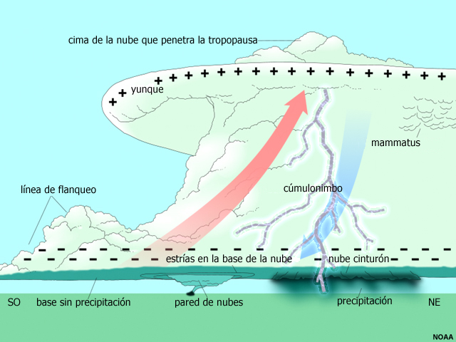 Modelo conceptual de supercélula, observada desde el sudeste, que muestra las regiones de corrientes ascendentes y descendentes, la separación de las cargas eléctricas (positiva en la parte superior de la tormenta, negativa en su parte inferior) y la descarga de un rayo.