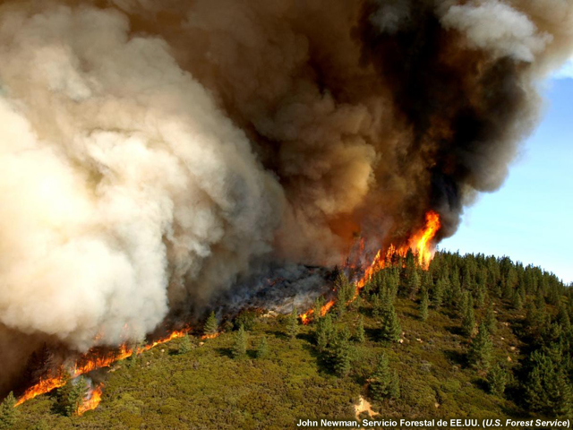 A medida que consumía el bosque al noreste de Buellton, California, el incendio de Zaca generó una gran nube de humo gris y enormes lenguas de fuego que saltaban de un árbol a otro.