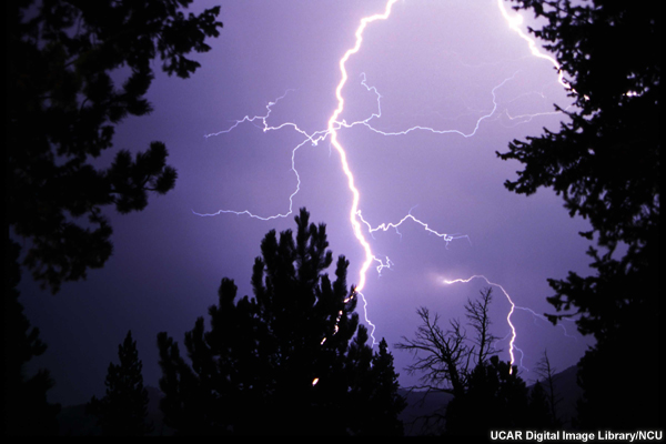 Foto nocturna de rayos entre las copas de algunos árboles