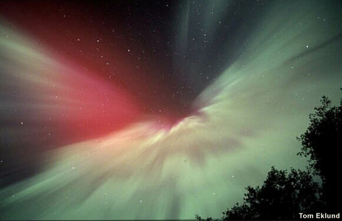 Corona aurora display photo by Tom Eklund