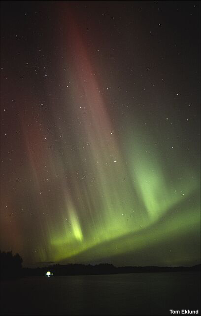 Auroral display in the form of red rays. (Credit: Tom Eklund)