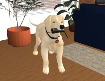 Hugo holding a cell phone in his mouth.
