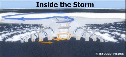 graphic of hurricane structure