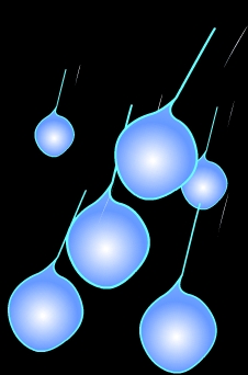 Rain drops falling.